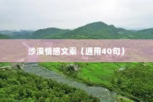 沙漠情感文案（通用40句）