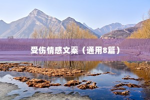 受伤情感文案（通用8篇）