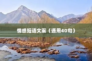 情感短语文案（通用40句）
