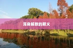 浑身解数的释义