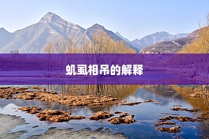 虮虱相吊的解释