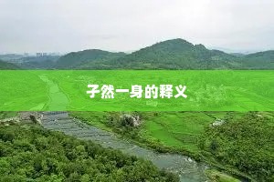 孑然一身的释义