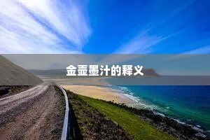 金壶墨汁的释义