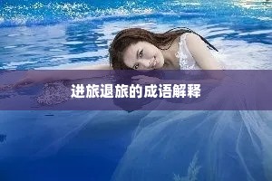 进旅退旅的成语解释
