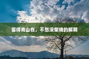 留得青山在，不愁没柴烧的解释