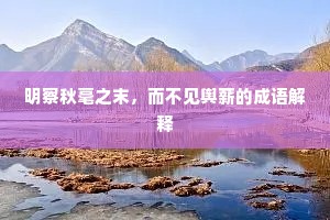 明察秋毫之末，而不见舆薪的成语解释