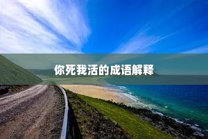 你死我活的成语解释