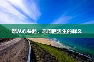 怒从心头起，恶向胆边生的释义