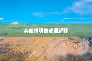 弃暗投明的成语解释