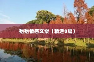 痞痞情感文案（精选8篇）