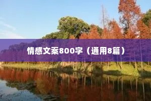 情感文案800字（通用8篇）
