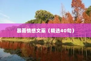暴雨情感文案（精选40句）