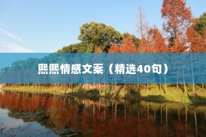 熙熙情感文案（精选40句）