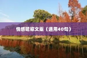 情感昵称文案（通用40句）