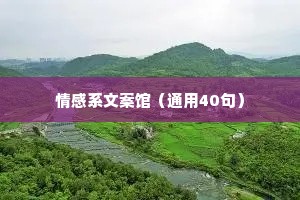 情感系文案馆（通用40句）