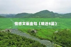 情感文案金句（精选8篇）