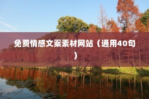 免费情感文案素材网站（通用40句）