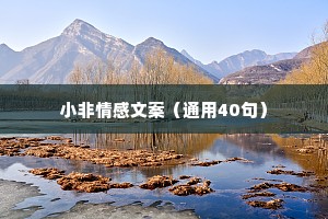 小非情感文案（通用40句）