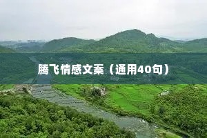 腾飞情感文案（通用40句）