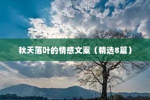 秋天落叶的情感文案（精选8篇）