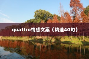 quattro情感文案（精选40句）