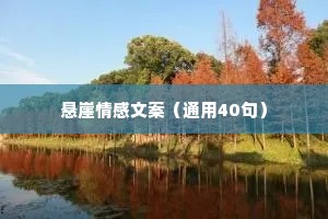悬崖情感文案（通用40句）