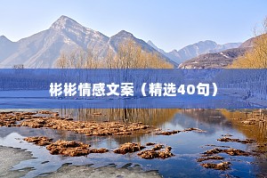 彬彬情感文案（精选40句）