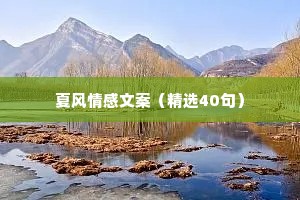 夏风情感文案（精选40句）