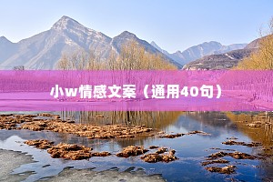 小w情感文案（通用40句）