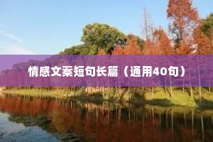 情感文案短句长篇（通用40句）