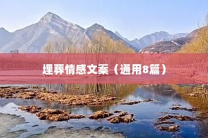 埋葬情感文案（通用8篇）