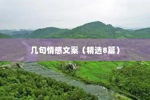 几句情感文案（精选8篇）
