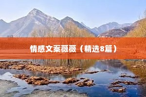 情感文案薇薇（精选8篇）