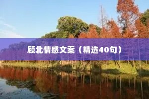 顾北情感文案（精选40句）