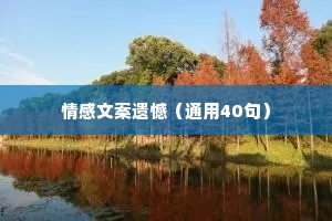 情感文案遗憾（通用40句）