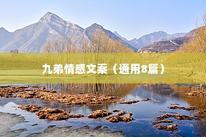 九弟情感文案（通用8篇）
