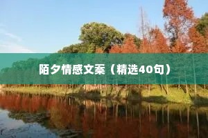 陌夕情感文案（精选40句）