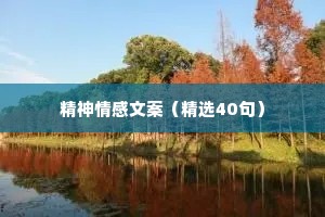 精神情感文案（精选40句）