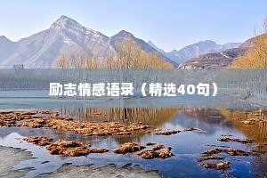 励志情感语录（精选40句）
