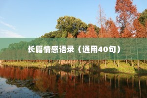 长篇情感语录（通用40句）