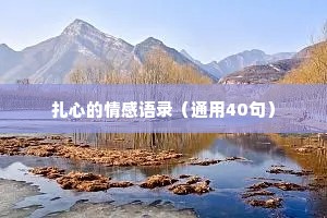 扎心的情感语录（通用40句）