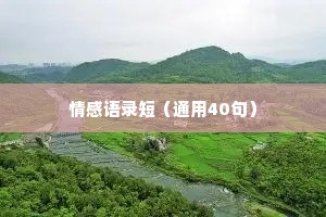 情感语录短（通用40句）