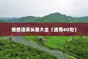 情感语录头像大全（通用40句）