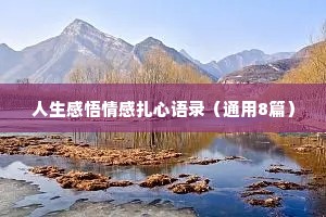 人生感悟情感扎心语录（通用8篇）