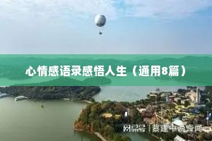 心情感语录感悟人生（通用8篇）