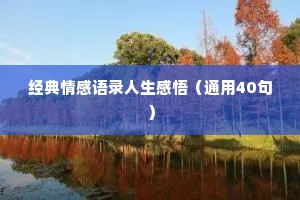 经典情感语录人生感悟（通用40句）
