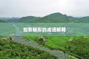 如影随形的成语解释