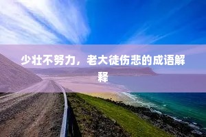 少壮不努力，老大徒伤悲的成语解释