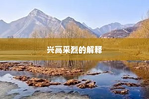 兴高采烈的解释