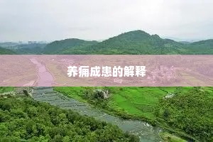 养痈成患的解释